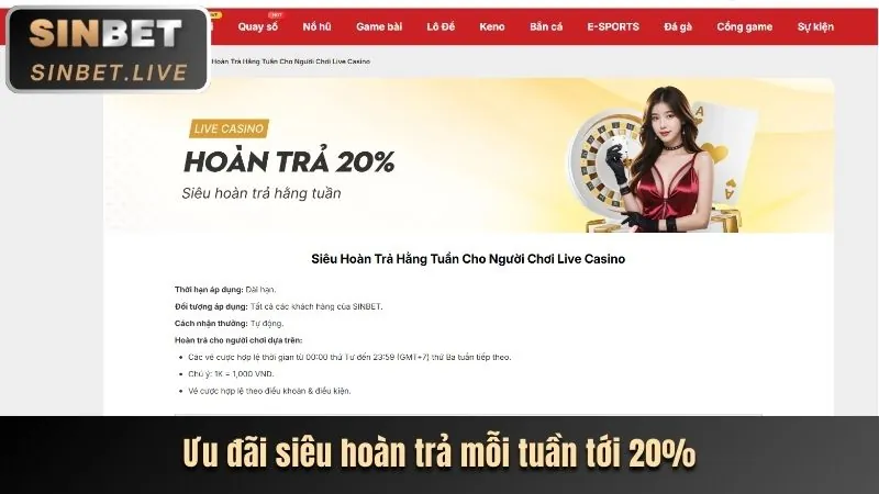 Hình ảnh khuyến mãi độc quyền 1xBet Casino